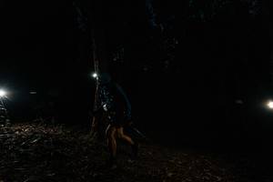 BIB: 
                            <button type="button" onclick="openModal(25262101)" class="btn btn-primary btn-sm float-right btn-popup" data-toggle="modal" data-target=".modal-high-quality">
                        <i class="fas fa-shopping-cart"></i> Add to Cart
                    </button>
                                            <button type="button" onclick="isThisMe(25262101, true)" class="btn btn-success btn-sm float-right btn-popup btn-isme hidden" data-toggle="tooltip" data-placement="bottom" title="นี่คือรูปของคุณใช่ไหม คลิกที่นี่เพื่อเอาเข้าอัลบั้ม">
                        <i class="fas fa-plus"></i> Add to album
                    </button>
                    <button type="button" onclick="isThisMe(25262101, false)" class="btn btn-warning btn-sm float-right btn-popup btn-isnotme hidden">
                        <i class="fas fa-ban"></i> Remove from album
                    </button>